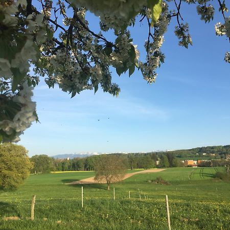 Chambre d'hôtes du Guéravet Grolley Esterno foto