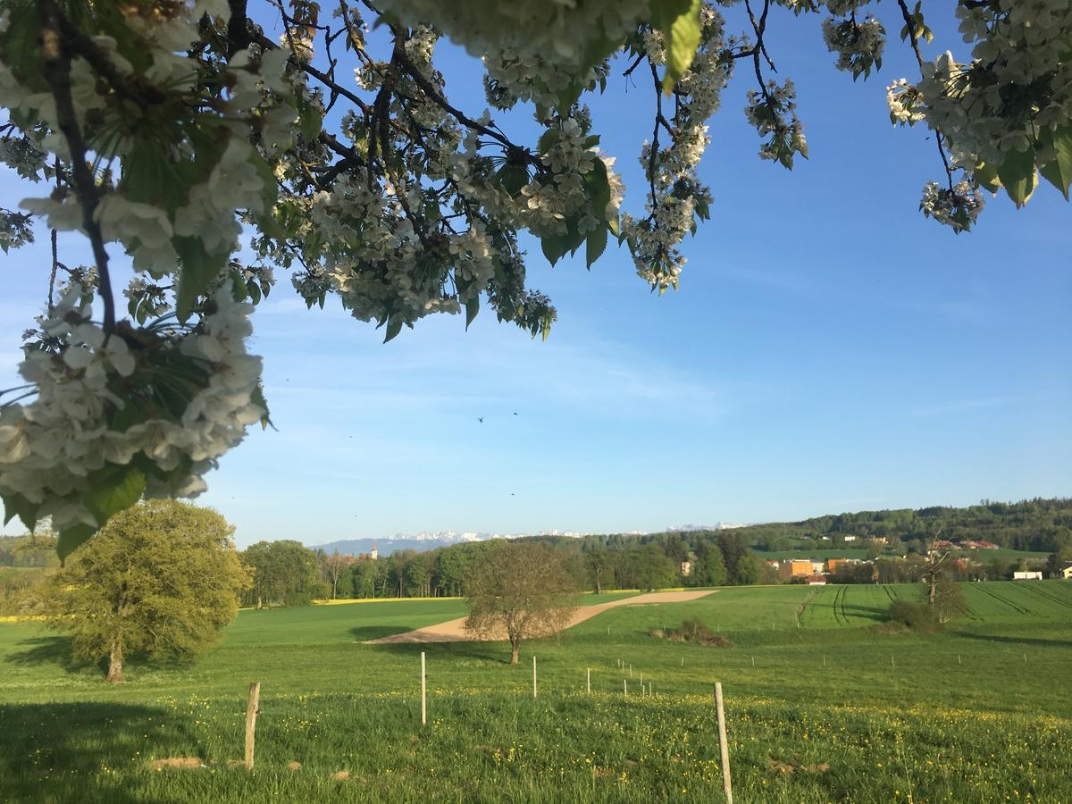 Chambre d'hôtes du Guéravet Grolley Esterno foto